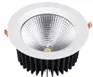 Downlights encastrables 50W