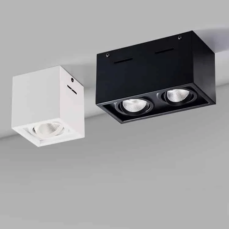 Downlights en saillie à un ou deux spots orientables