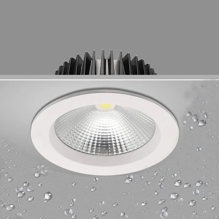Downlight pour salle de bains
