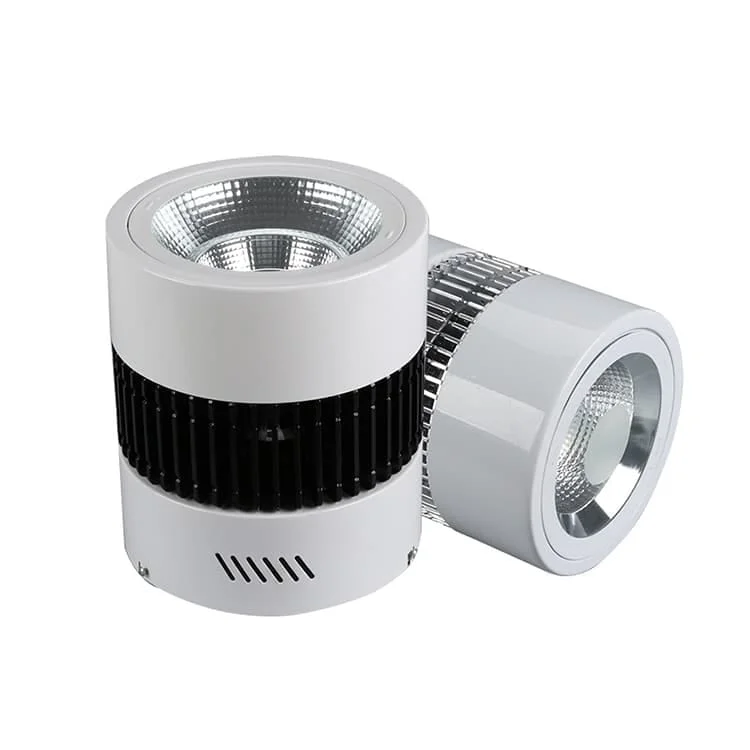 Downlights en saillie ou suspendus de 50W à 200W