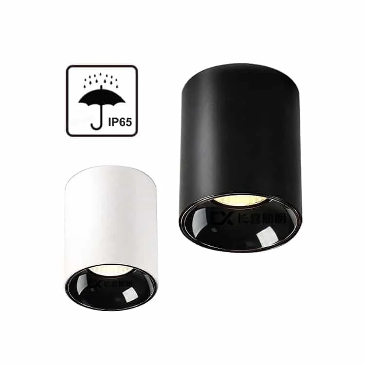 Downlight cylindrique IP65 en saillie