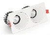 downlight double