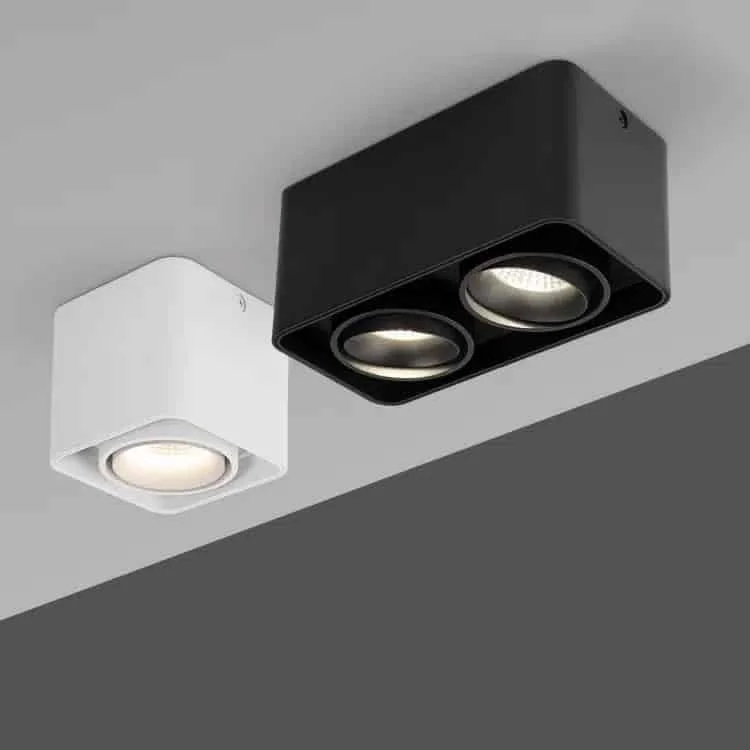 Downlights DLG-H en saillie avec modules au choix