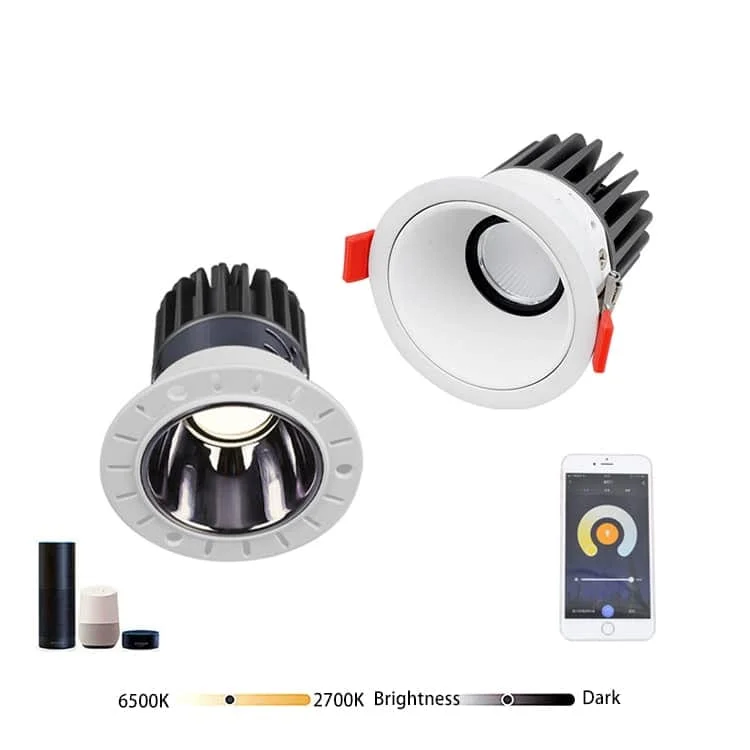 Spots orientables DL-ZS avec commande Zigbee 3.0